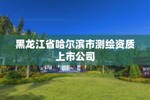 黑龍江省哈爾濱市測繪資質(zhì)上市公司