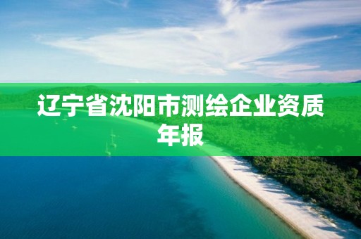 遼寧省沈陽市測繪企業資質年報