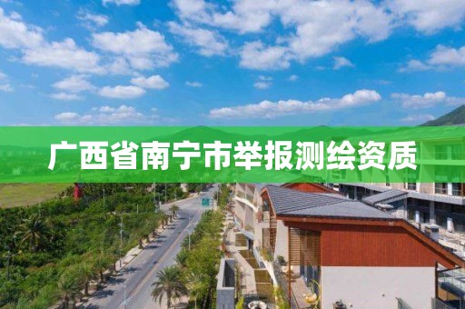 廣西省南寧市舉報測繪資質