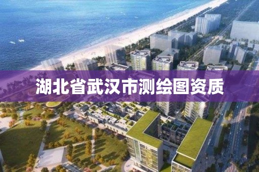 湖北省武漢市測繪圖資質