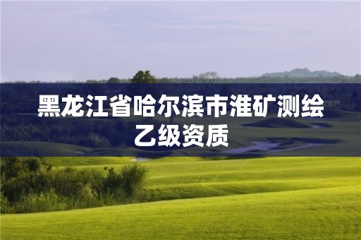 黑龍江省哈爾濱市淮礦測繪乙級資質