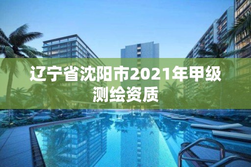 遼寧省沈陽市2021年甲級測繪資質(zhì)