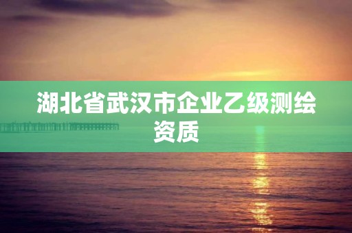 湖北省武漢市企業乙級測繪資質