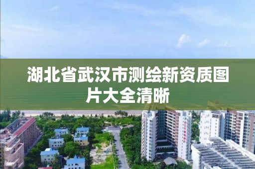 湖北省武漢市測繪新資質圖片大全清晰