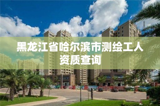 黑龍江省哈爾濱市測繪工人資質(zhì)查詢