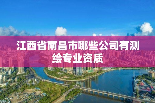 江西省南昌市哪些公司有測(cè)繪專(zhuān)業(yè)資質(zhì)