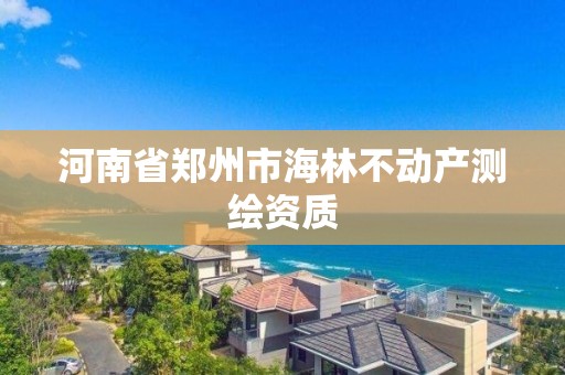 河南省鄭州市海林不動產測繪資質