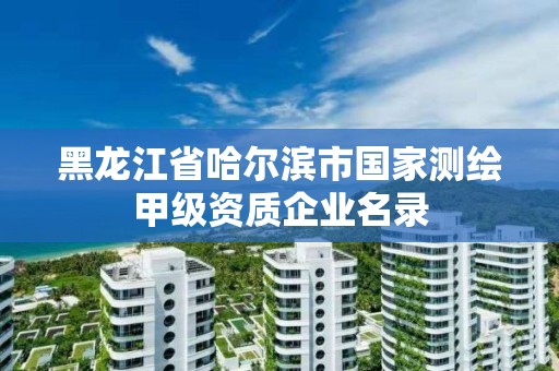 黑龍江省哈爾濱市國(guó)家測(cè)繪甲級(jí)資質(zhì)企業(yè)名錄