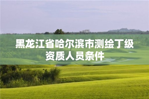 黑龍江省哈爾濱市測繪丁級資質(zhì)人員條件