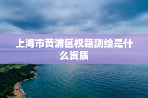 上海市黃浦區權籍測繪是什么資質