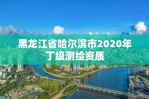 黑龍江省哈爾濱市2020年丁級測繪資質