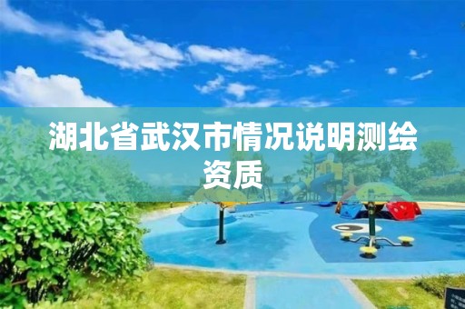 湖北省武漢市情況說明測繪資質