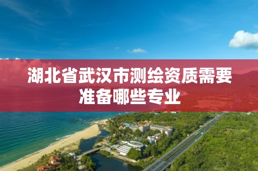 湖北省武漢市測繪資質需要準備哪些專業