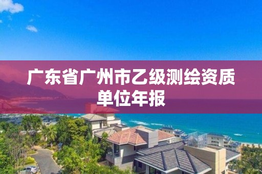 廣東省廣州市乙級測繪資質(zhì)單位年報