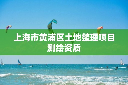 上海市黃浦區土地整理項目測繪資質