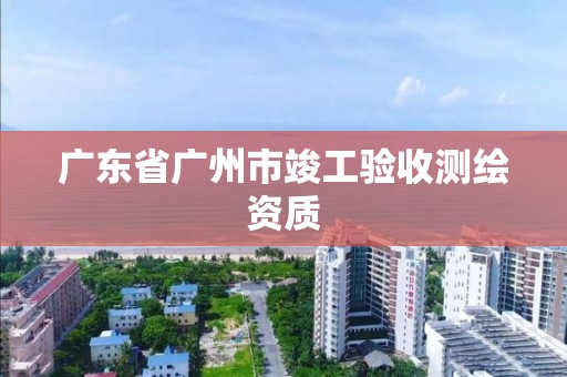 廣東省廣州市竣工驗收測繪資質