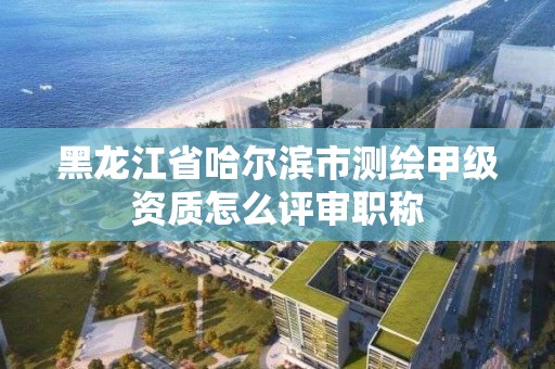 黑龍江省哈爾濱市測繪甲級資質怎么評審職稱