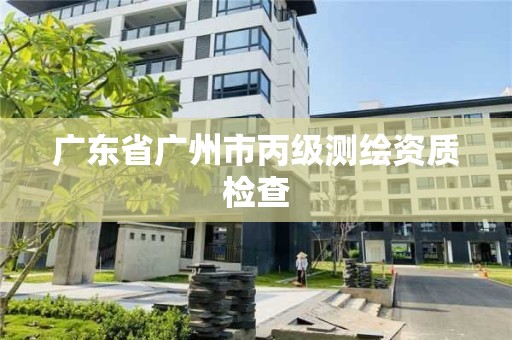 廣東省廣州市丙級測繪資質(zhì)檢查