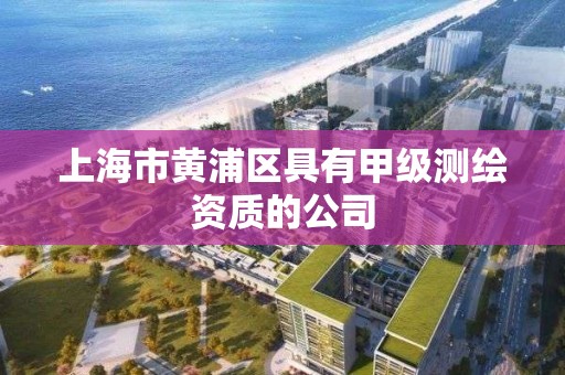 上海市黃浦區具有甲級測繪資質的公司