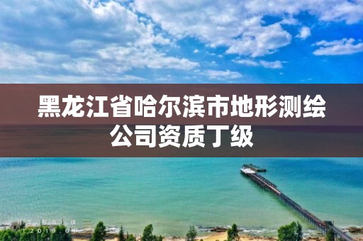 黑龍江省哈爾濱市地形測繪公司資質丁級