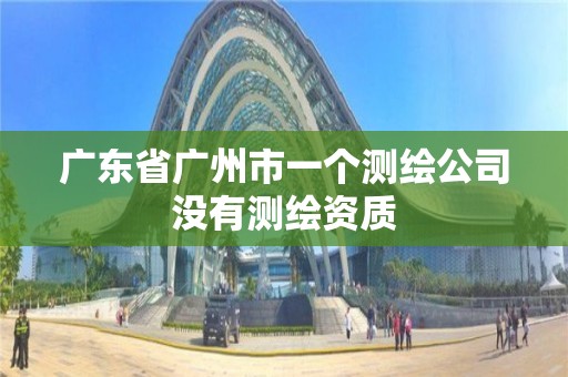 廣東省廣州市一個測繪公司沒有測繪資質