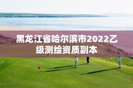 黑龍江省哈爾濱市2022乙級測繪資質副本