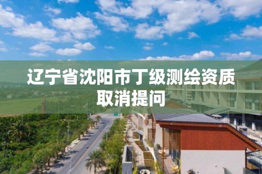 遼寧省沈陽市丁級測繪資質取消提問