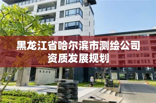 黑龍江省哈爾濱市測繪公司資質發展規劃