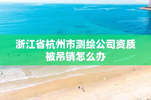 浙江省杭州市測繪公司資質被吊銷怎么辦