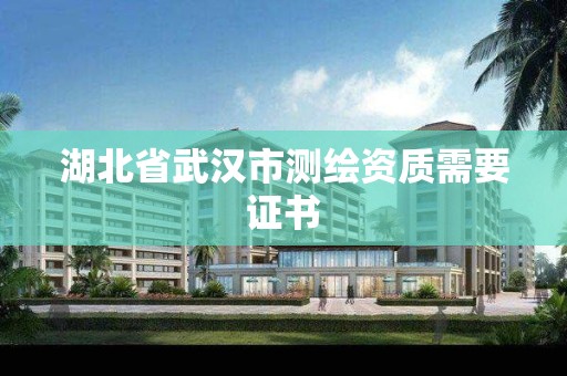 湖北省武漢市測繪資質需要證書