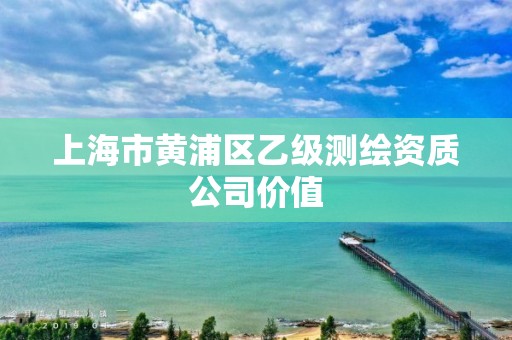 上海市黃浦區(qū)乙級(jí)測(cè)繪資質(zhì)公司價(jià)值