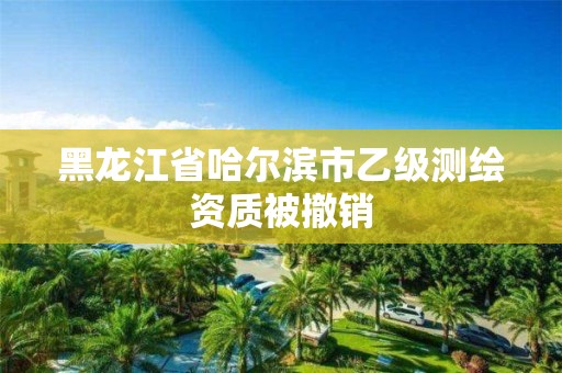 黑龍江省哈爾濱市乙級測繪資質(zhì)被撤銷