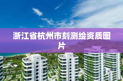 浙江省杭州市刻測繪資質(zhì)圖片