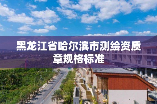 黑龍江省哈爾濱市測繪資質章規格標準