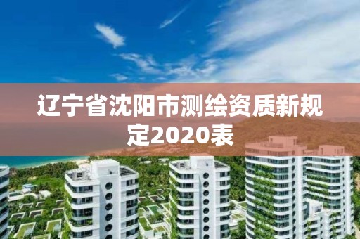 遼寧省沈陽市測繪資質新規定2020表