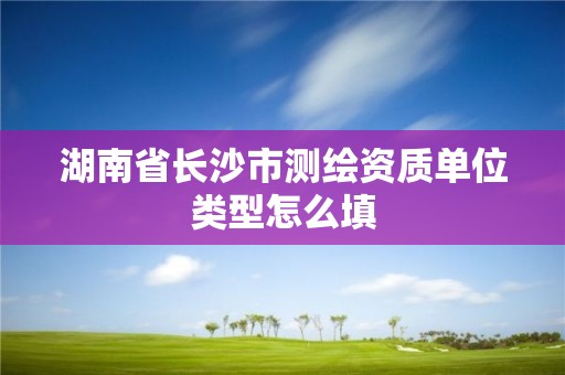 湖南省長沙市測繪資質(zhì)單位類型怎么填