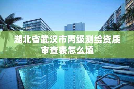 湖北省武漢市丙級測繪資質(zhì)審查表怎么填