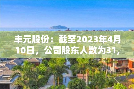 豐元股份：截至2023年4月10日，公司股東人數為31,386