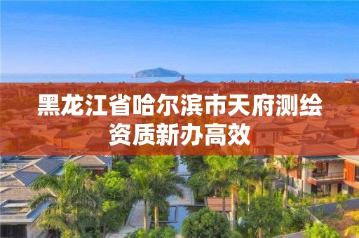 黑龍江省哈爾濱市天府測繪資質(zhì)新辦高效