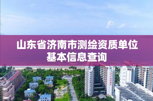 山東省濟南市測繪資質單位基本信息查詢