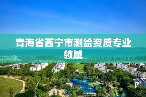 青海省西寧市測繪資質專業領域