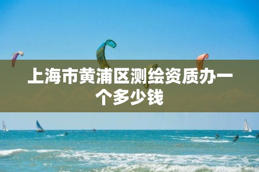 上海市黃浦區(qū)測繪資質(zhì)辦一個多少錢