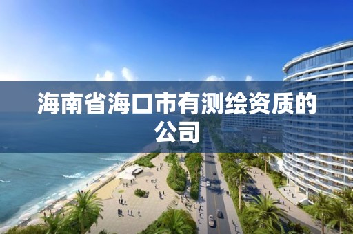 海南省海口市有測(cè)繪資質(zhì)的公司