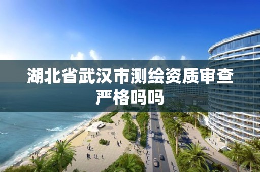 湖北省武漢市測繪資質審查嚴格嗎嗎