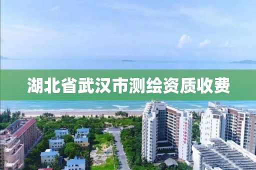 湖北省武漢市測繪資質收費