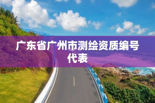 廣東省廣州市測繪資質編號代表