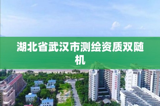 湖北省武漢市測繪資質雙隨機