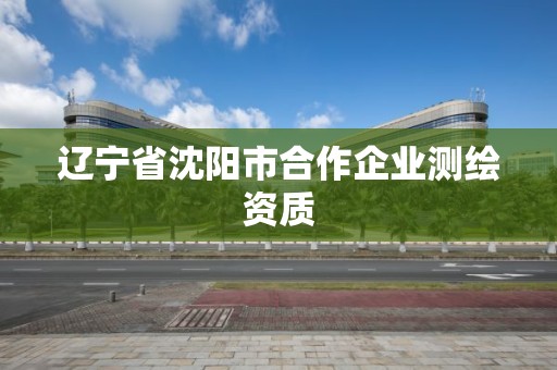 遼寧省沈陽市合作企業(yè)測繪資質(zhì)