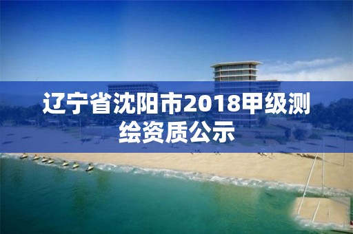 遼寧省沈陽市2018甲級測繪資質公示