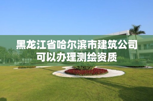 黑龍江省哈爾濱市建筑公司可以辦理測繪資質(zhì)